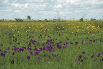 Blagoweschtschensk