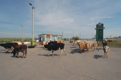 Woche VI: Reisemobil am Baikal