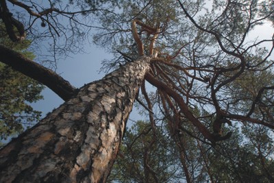 Woche VI: Reisemobil am Baikal