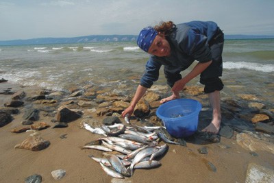 Woche VI: Reisemobil am Baikal