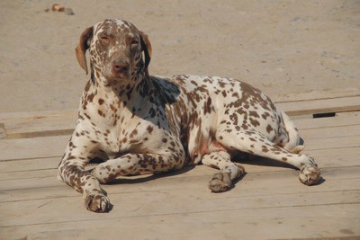 Woche II: Tschuwaschien, wir...